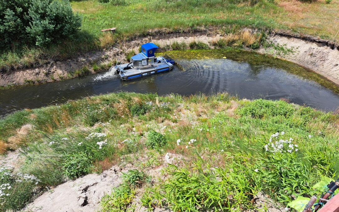 Czyszczenie stawów - poprawa jakości wody
